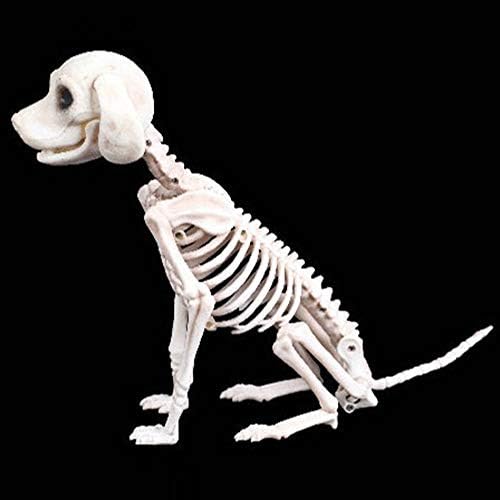 Prop pas Halloween Skeleton Party Bones kosti Horror Dekoracija životinja Obrazovanje četverogodišnjeg pansiona za djecu