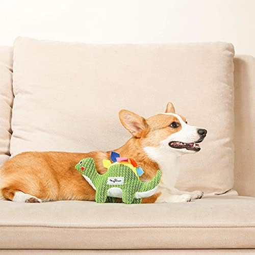 Humsmart Pet - Dinosaur Land | Čvrsti plišane igračke za pse za male srednje pse | Teksturirana sendvič mrežice slatke tebi za štenad