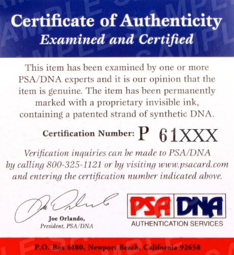 Paul Varelans potpisan UFC rukavica PSA/DNK COA autogram 6 7 8 Ultimate Uu95 Uu96 uu-autographed UFC rukavice