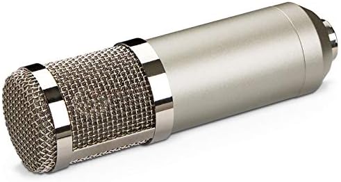 Hgvvnm kondenzatorski studijski mikrofon za emitovanje Kardioidnog usmerenog branja može pružiti jasne efekte snimanja