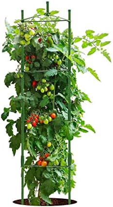 Grgoun rajčice kaveze za vrt do 63 inča Veliki rajčići kavez Trellis postrojenje za predaju nosača, 6-pakovanje sa biljnim vezama,