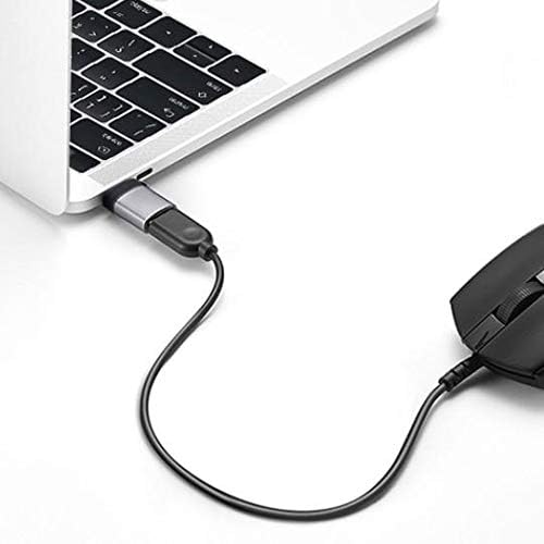 Boxwave Cable kompatibilan s brizerskom oštricom Stealth 13 - USB-C do portchangera, USB tipa C OTG USB prijenosni privjesak za razerčiće