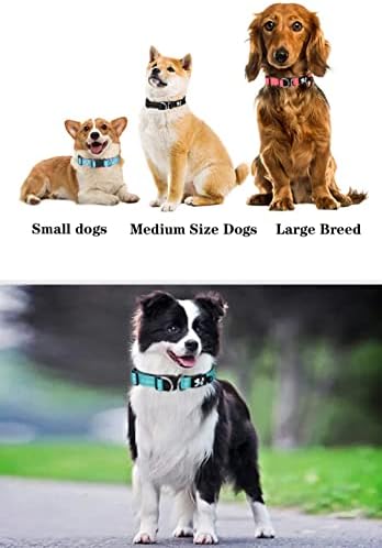 PIMAODOG podstavljeni ovratnik za pse ogrlice za pse za male srednje velike pse udobne meke neoprenske podesive osnovne ogrlice za