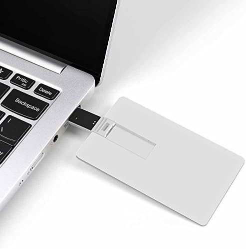 LIGARAGUA LOGO LOGO USB 2.0 Flash-Drives Memory Stick Credit Card Stick