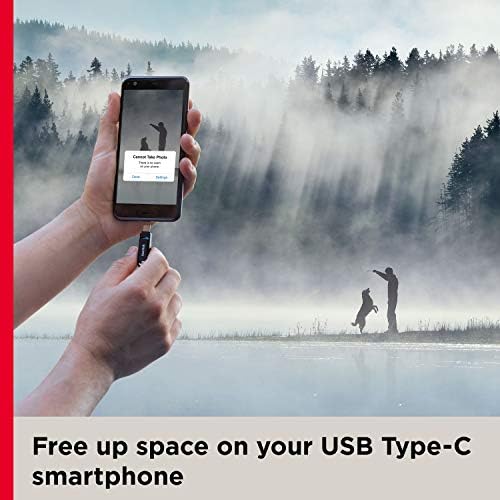 SanDisk 64GB Ultra Dual Drive Go usb tip-c Flash Drive, crna - SDDDC3-064G-G46