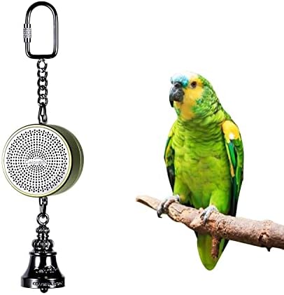 Colorday Bird Calchiner Coach & Interactive glasovna zvona igračka, zelena