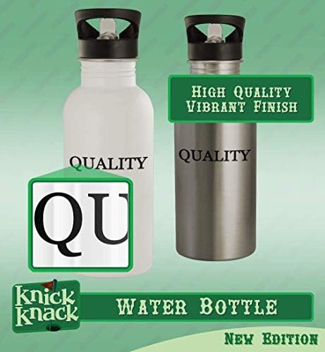 Knick Klack pokloni hanaper - 20oz boca od nehrđajućeg čelika, srebrna