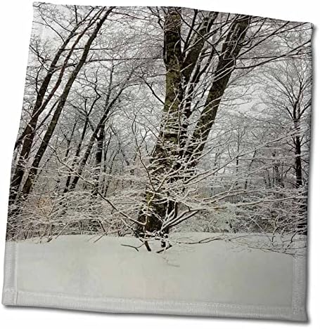 3drose snježne grane slikovito zimska fotografija - ručnici