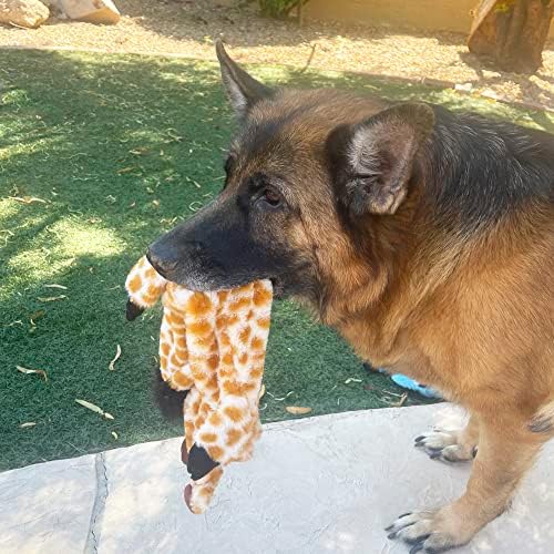 Jalousie Multipack punionice bez psa Škripave igračke pas igračka pas sa izdržljivom podlogom bez punjenja igračka za psa-pseće igračke