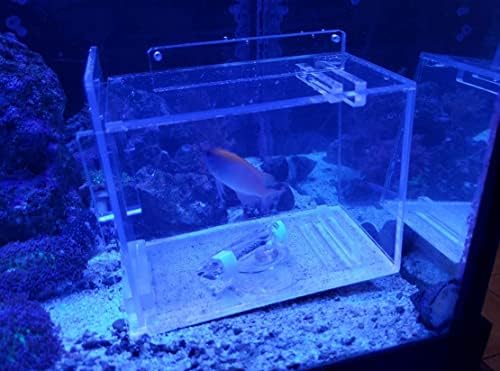 Saltwateraquarium Velika akrilna riba i štetočina 9 x 5 x 6 za akvarijume | Acclimasation Izolacija kutija za uzgoj rezervoara za
