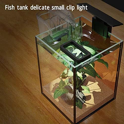 Komplet akvarij akvarij ribe cisterna starter komplet Desktop Mali riblji rezervoar sa filtriranim pumpom LED kopča za crpnu svjetlo