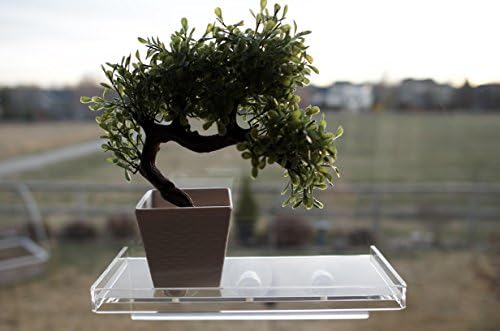 LaBrinx dizajnira policu sa srednjim usisnim čašama - žive biljke , prozori i kupatila