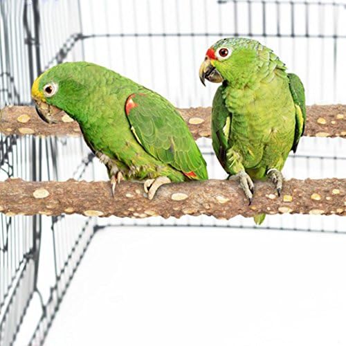 PINVNBY PERTICE PERCH Priroda Drveni bodljikavi papažni štand igračka platforma platforma za brušenje male za malene medije ptice