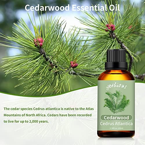 Yetius Cedarwood esencijalno ulje 100ml, čista i prirodna cedrovnica Bitni preljev za difuzor i aromaterapiju na sapun za svijeće